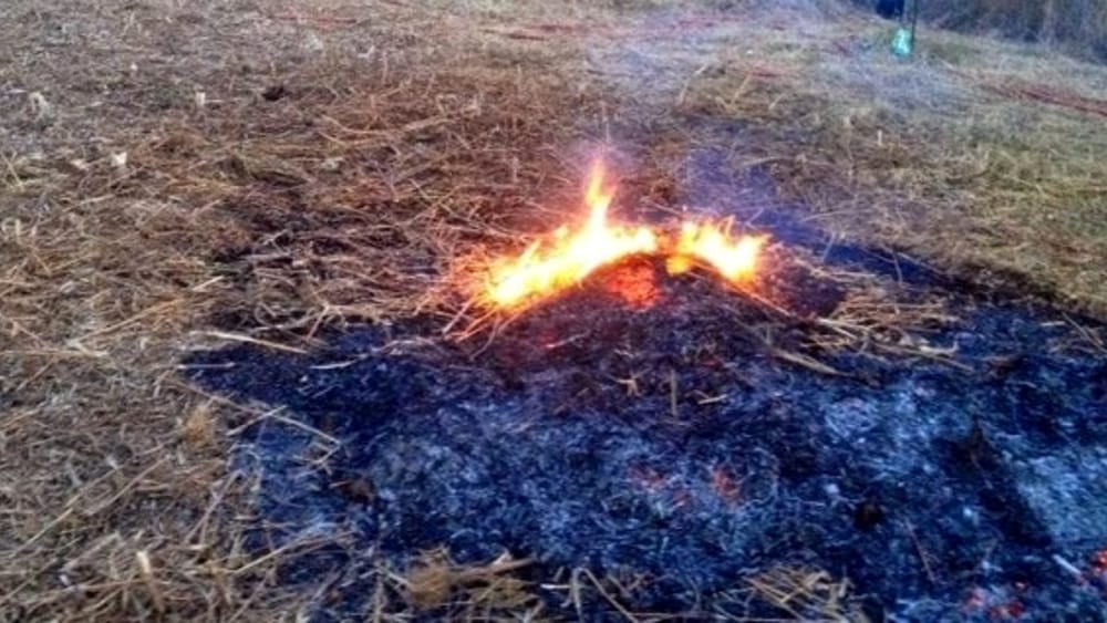 Divieto Di Abbruciamento Di Residui Vegetali Il Cittadino Pescia